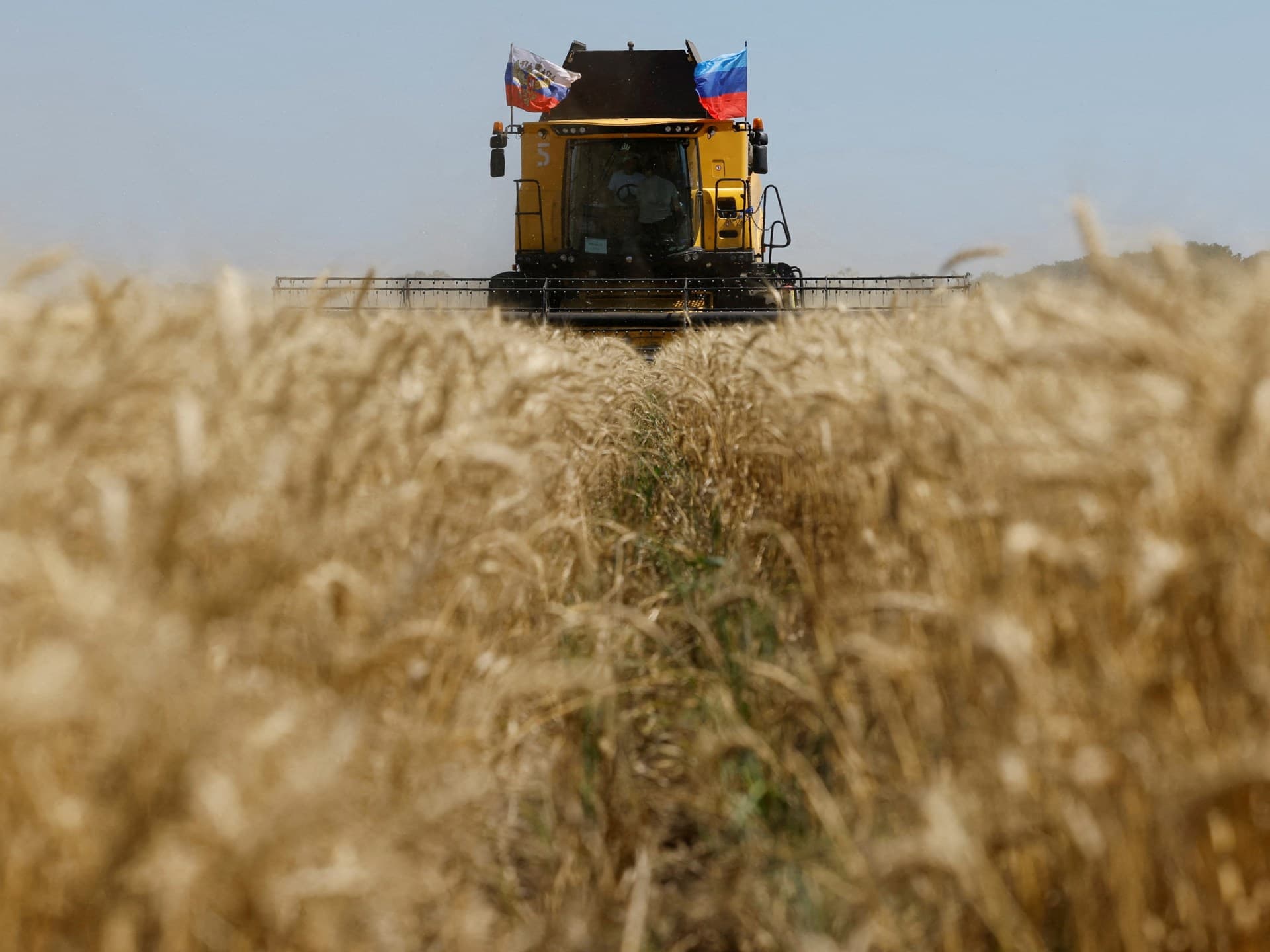 Україна просить Ізраїль затримати судно Panormitis із зерном з окупованих територій