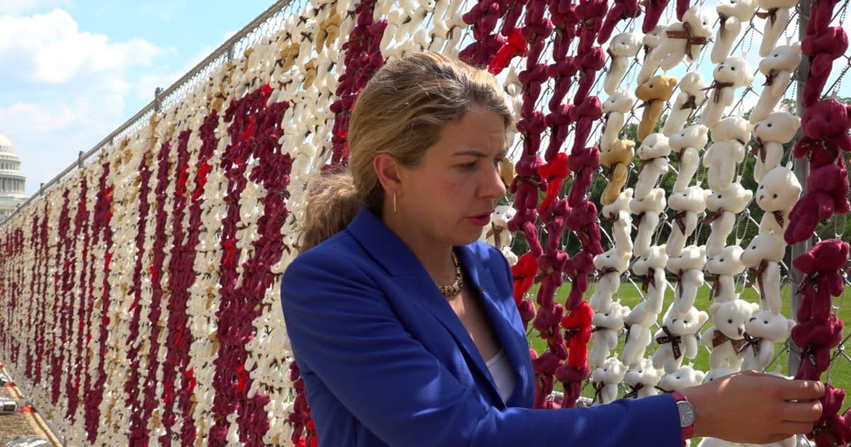 20 000 плюшевих ведмедиків на Національній алеї у Вашингтоні — акція на захист депортованих українських дітей