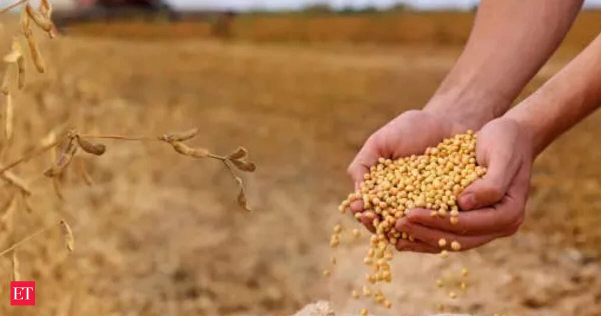 Індія чекає рекордних посівів сої: фермери тікають від кукурудзи через Ель-Ніньо