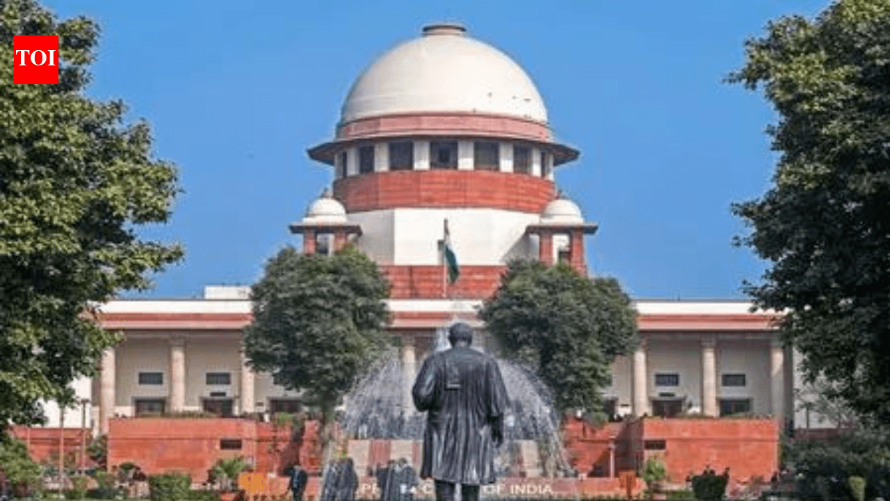 Верховний суд Індії розглядає справи індійців, примусово завербованих до армії Росії