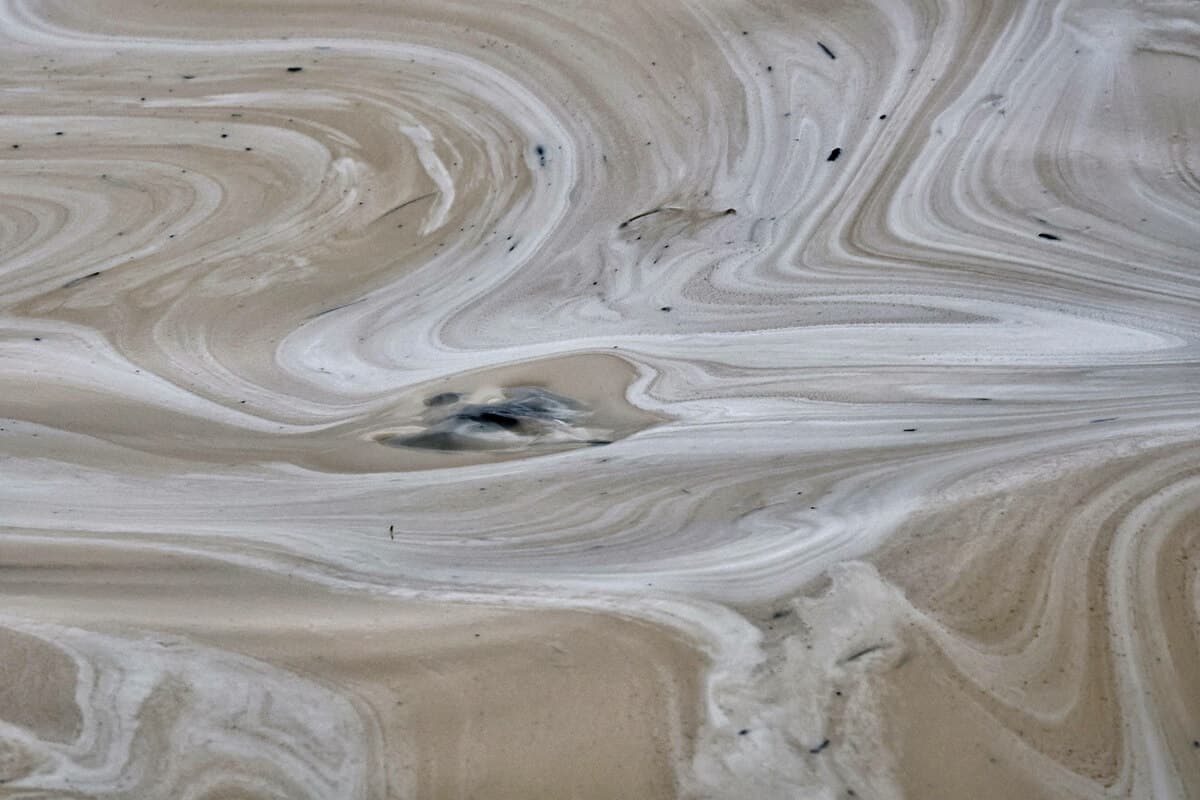 Обстріл одеського порту вбиває Чорне море: тисячи птахів і морських коників загинули