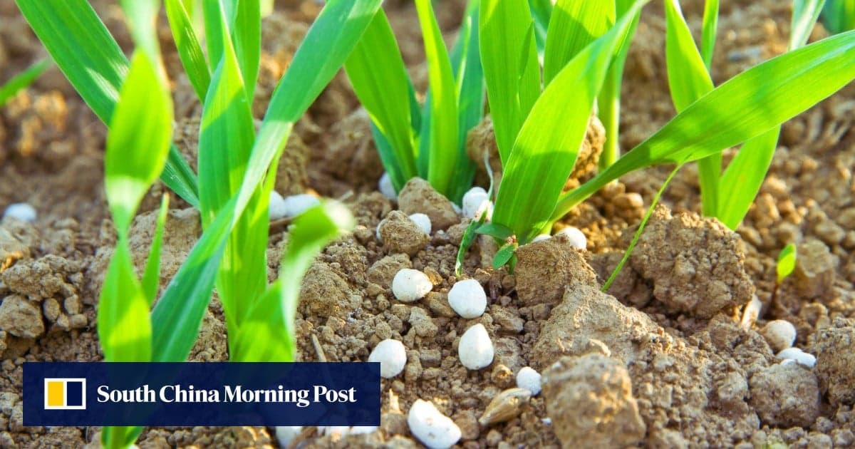 Американські фермери у кризі: добрива дорожчають через блокаду Ормузької протоки та наслідки війни в Україні