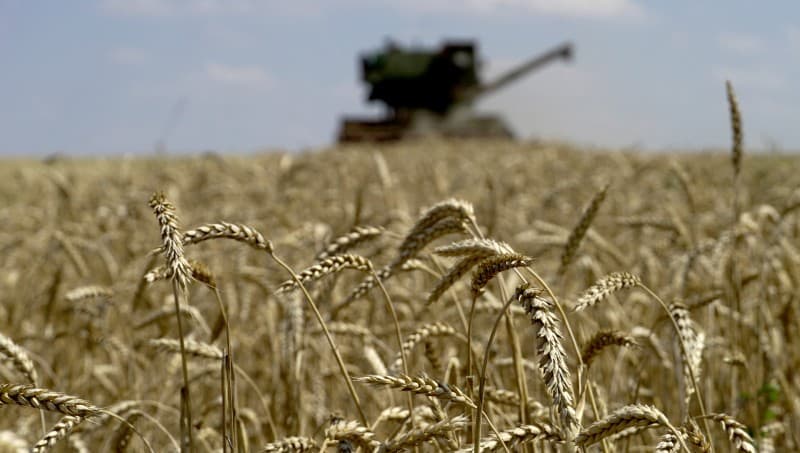 Виробник дронів-камікадзе таємно торгує вкраденим зерном Маріуполя