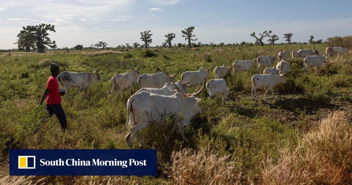 Війна проти Ірану спровокувала інфляційний шок для 54 країн Африки