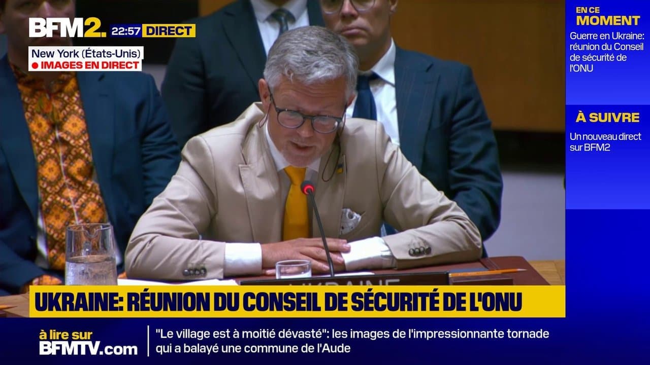 РБ ООН зібрала засідання щодо України в день 35-річчя незалежності