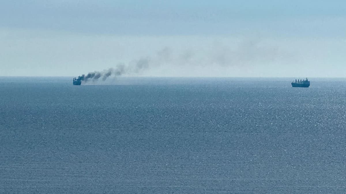 Молдова везтиме 600 тисяч тонн українського зерна в обхід Чорного моря