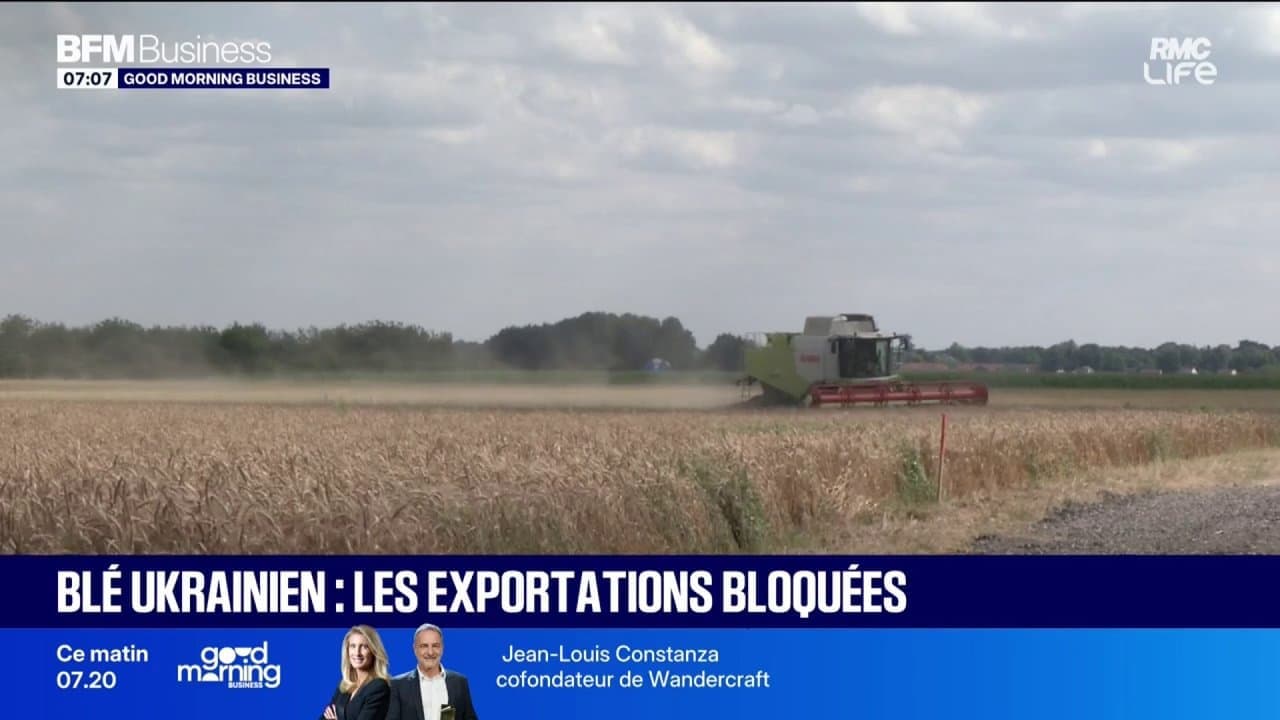 Посуха і Росія штовхають ціни на пшеницю вгору