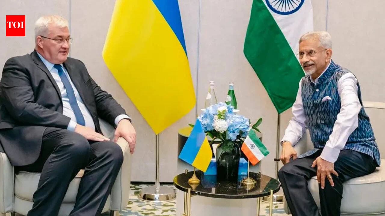 Індія засудила атаки на судна в Чорному морі: Джайшанкар провів переговори із Сибігою