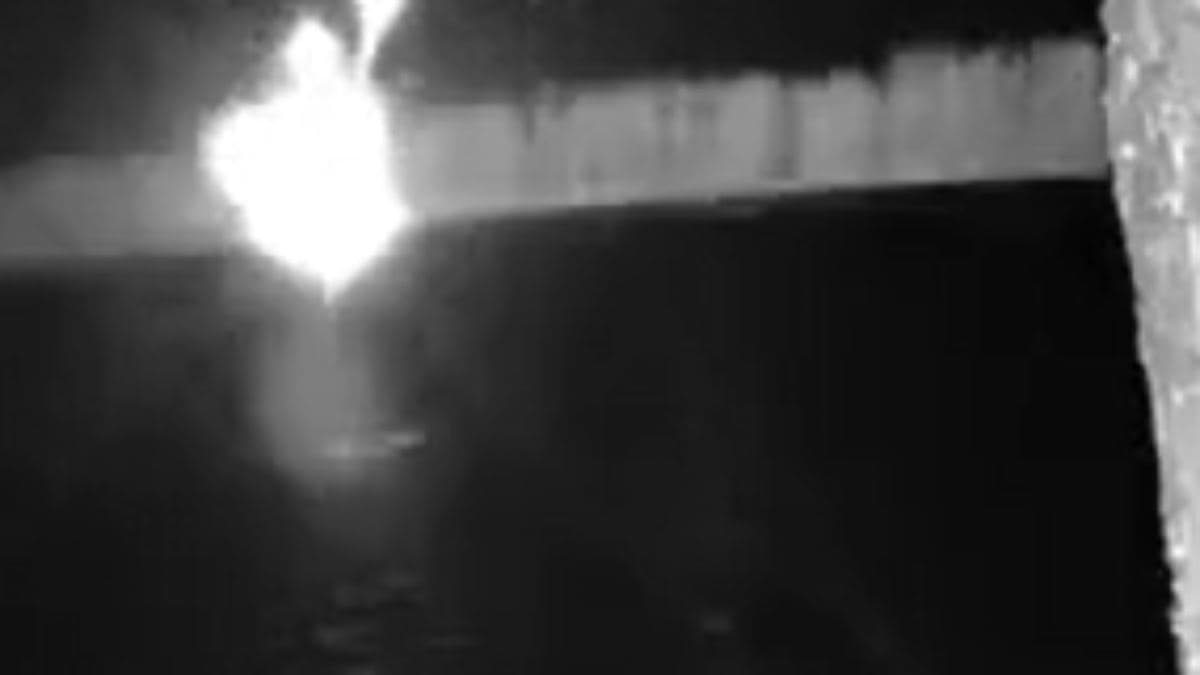 Невідомий дрон впав біля кордону Литви з Білоруссю — розслідування