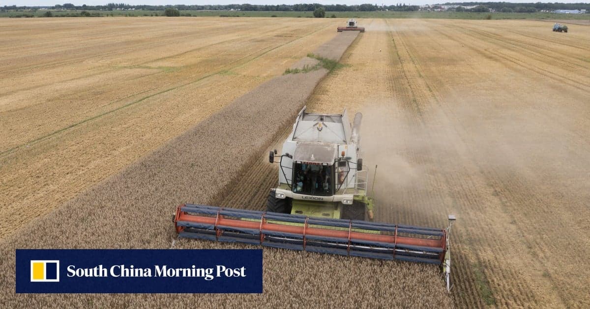 Китай відкрив ринок для українського пшеничного борошна: підписано протокол