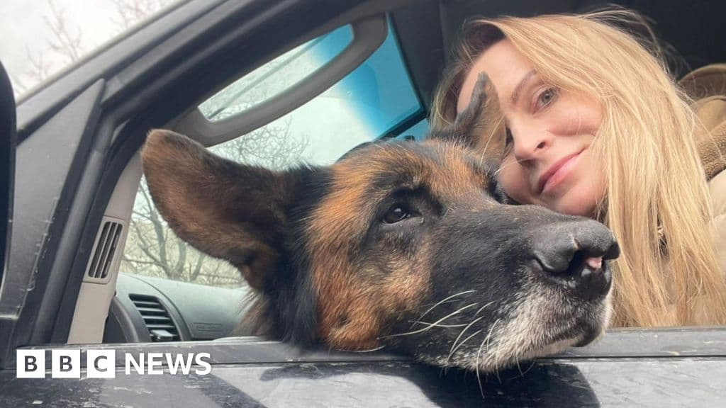 Під дронами та обстрілами: як волонтери рятують тварин у прифронтовій Україні