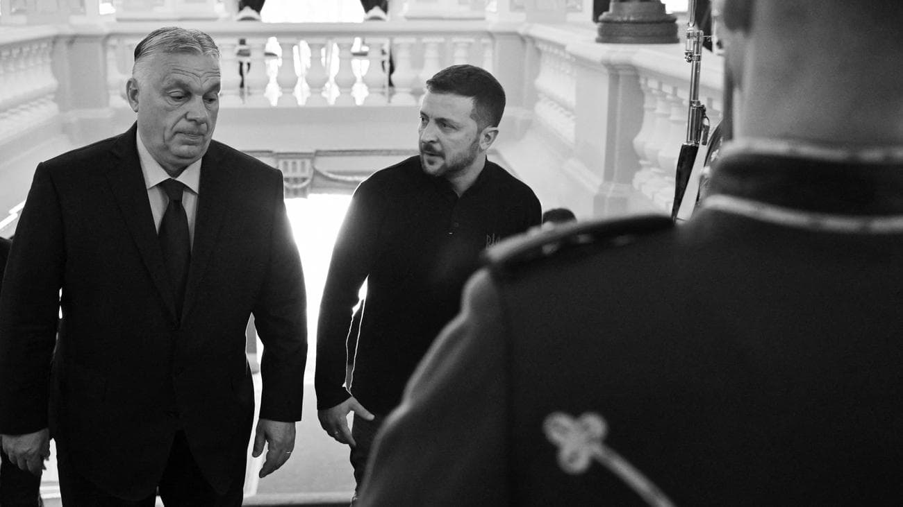 Броньовик із мільйонами, «Дружба» і вибори: Орбан проти України