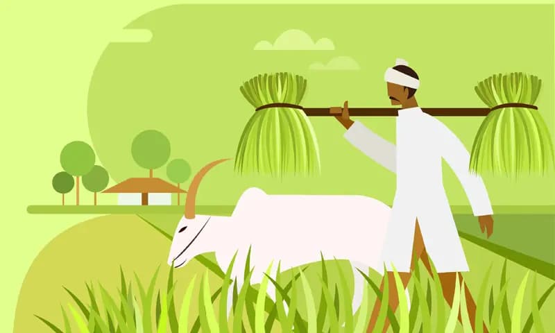 Пакистан ігнорує електрифікацію тракторів на тлі аграрної кризи